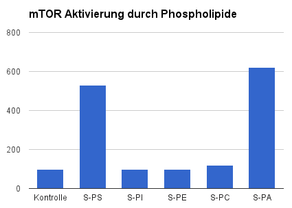 mTor activation by Phospholiqide